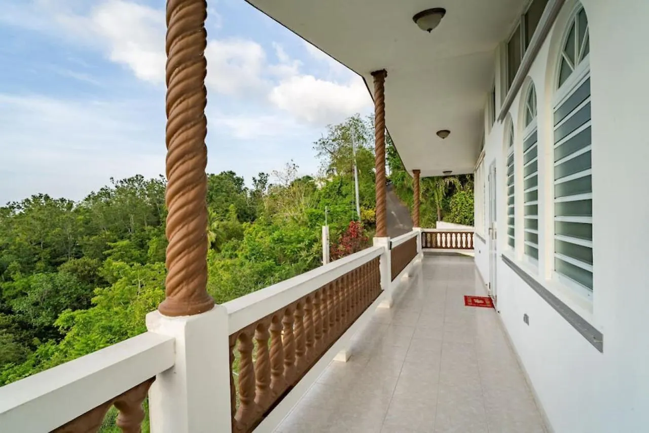 Villa Ensueno A 3 Bdr House In The Mountain Ринкон